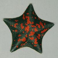 Nature Technicolor Blue Bat Star