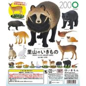 Micro Nature of Satoyama