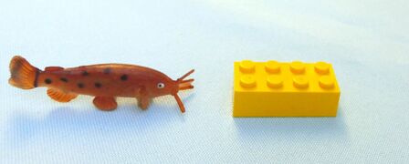 Injecta Plastic Catfish