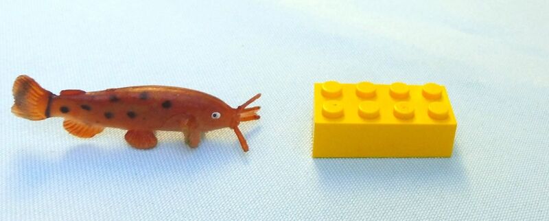 File:Injecta Plastic Catfish.jpg