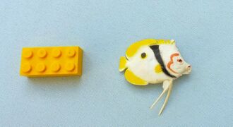 Injecta Plastic Chaetodon