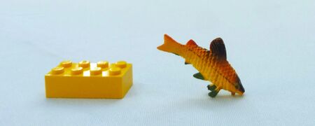 Injecta Plastic Nanochromis