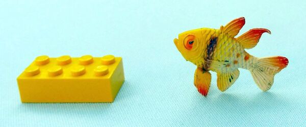 Injecta Plastic Pajama cardinalfish.jpg