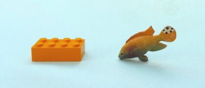 Injecta Plastic Peacock Cichlid