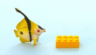 Injecta plastic Henochius