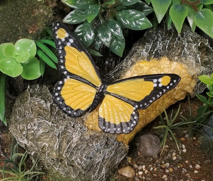 File:Innovative Kids Monarch.jpg