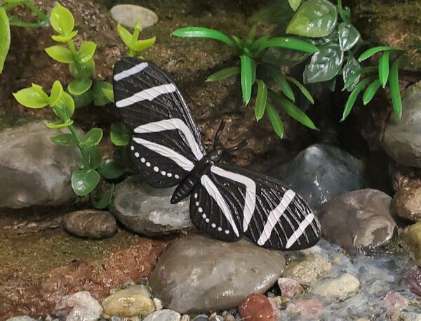 Innovative Kids Zebra longwing.jpg