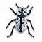 Ironclad beetle thumb.jpg