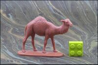 Jean Hoefler Dromedary