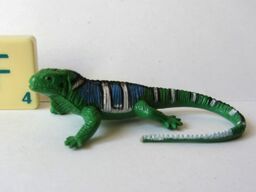Fijian Iguana