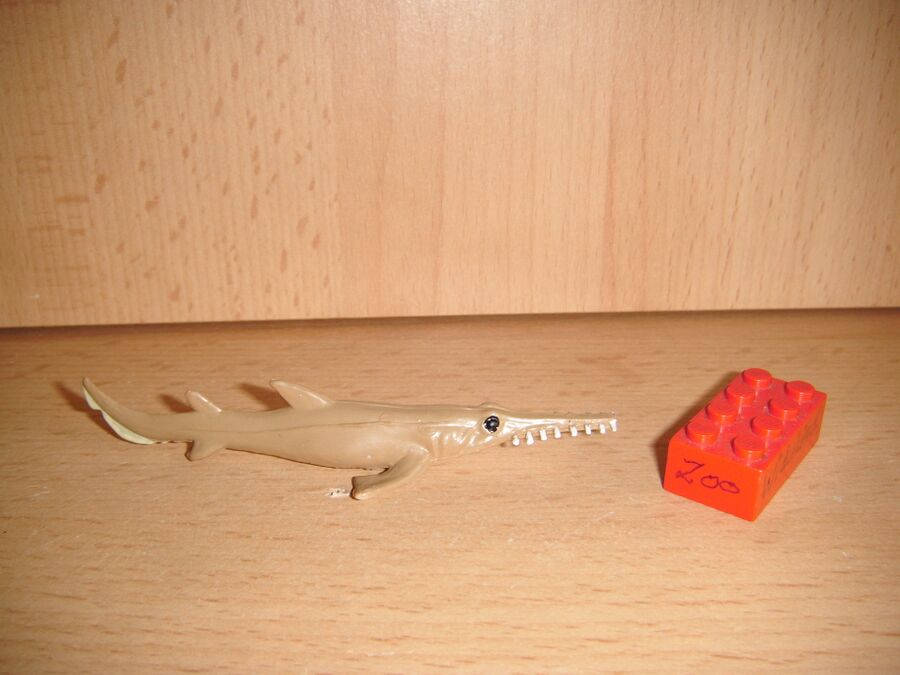 K&M Japanese sawshark Toy Animal Wiki
