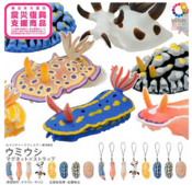 Nature Technicolor Sea Slugs