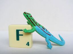 Day gecko