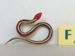 San Francisco garter