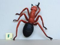 Red Ant