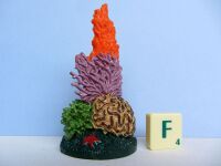 Coral