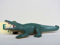 Nile Crocodile