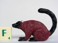 Red Ruffed Lemur