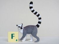 Ring-Tailed Lemur