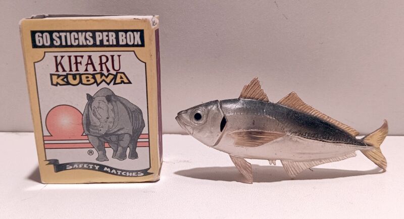 File:Kaiyod food Japanese Jack Mackerel.jpg