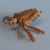 Kaiyodo cQM Crab Louse Phthirus pubis