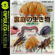 Backyard Soil Organisms