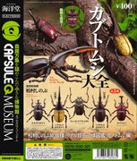 Beetles of the world