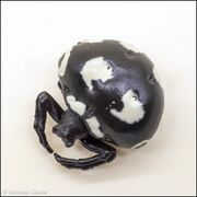 Kaiyodo CapsuleQ Japanese spiders Cyrtarachne yunoharuensis black 2.jpg