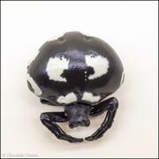 Kaiyodo CapsuleQ Japanese spiders Cyrtarachne yunoharuensis black 3.jpg