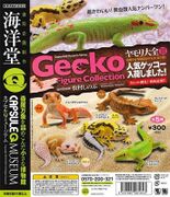 Gecko Encyclopedia Vol2