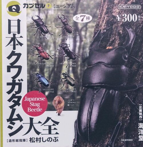 Kaiyodo CapsuleQ Stag Beetle Encyclopedia.jpg