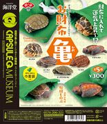 Turtle Hatchlings Good Luck Charms