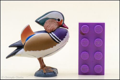 Kaiyodo ChocoQ Animatales 7 Mandarin Duck 1.jpg