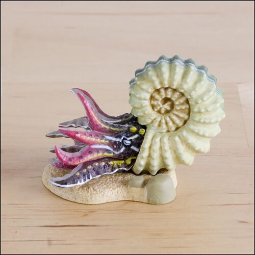 Kaiyodo Dinotales 4 Douvilleiceras.JPG