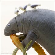 Kaiyodo Extinct Animals Steller's sea cow 6.jpg