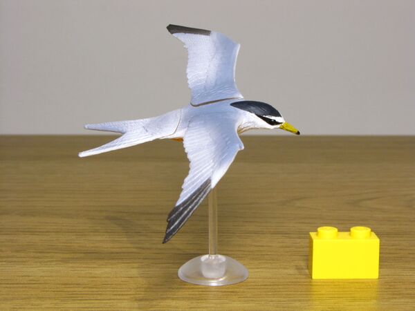 Kaiyodo Little tern 01.JPG