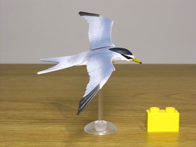 File:Kaiyodo Little tern 01.JPG