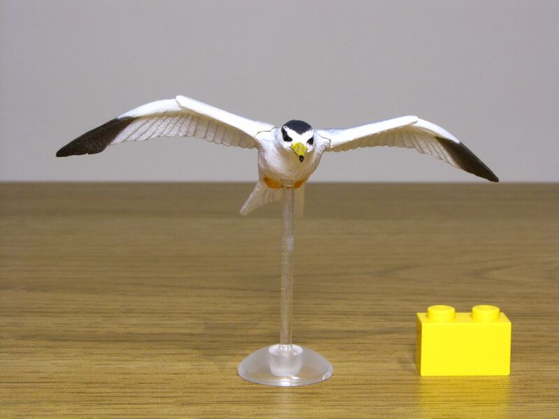 File:Kaiyodo Little tern 02.JPG