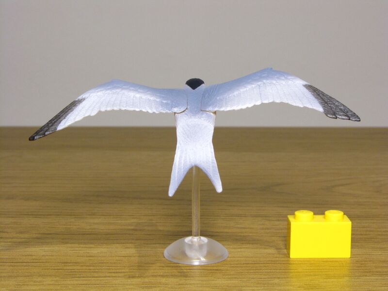File:Kaiyodo Little tern 03.JPG