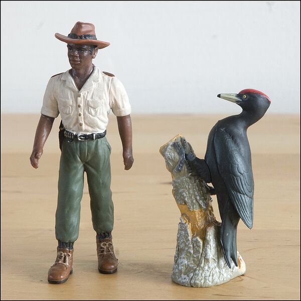 File:Kaiyodo NT Black woodpecker.jpg