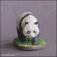 Giant Panda