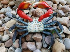 Kaiyodo Revogeo Red-clawed crab 3.jpg