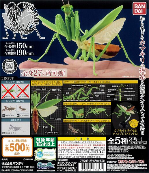 File:Kamakiri - Japanese giant mantis.jpg