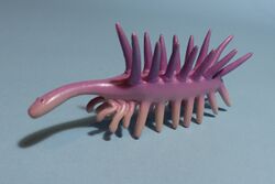 Hallucigenia