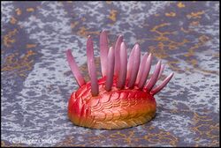 Wiwaxia