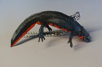 Nature Technicolour Japanese fire belly newt (black, chain)