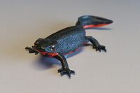 Nature Technicolour Japanese fire belly newt (black, magnet)