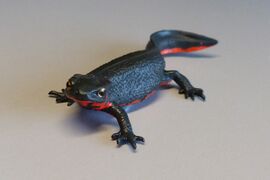 Nature Technicolour Japanese fire belly newt (black, magnet)