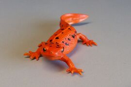 Nature Technicolour Japanese fire belly newt (orange, magnet)