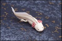 white Axolotl